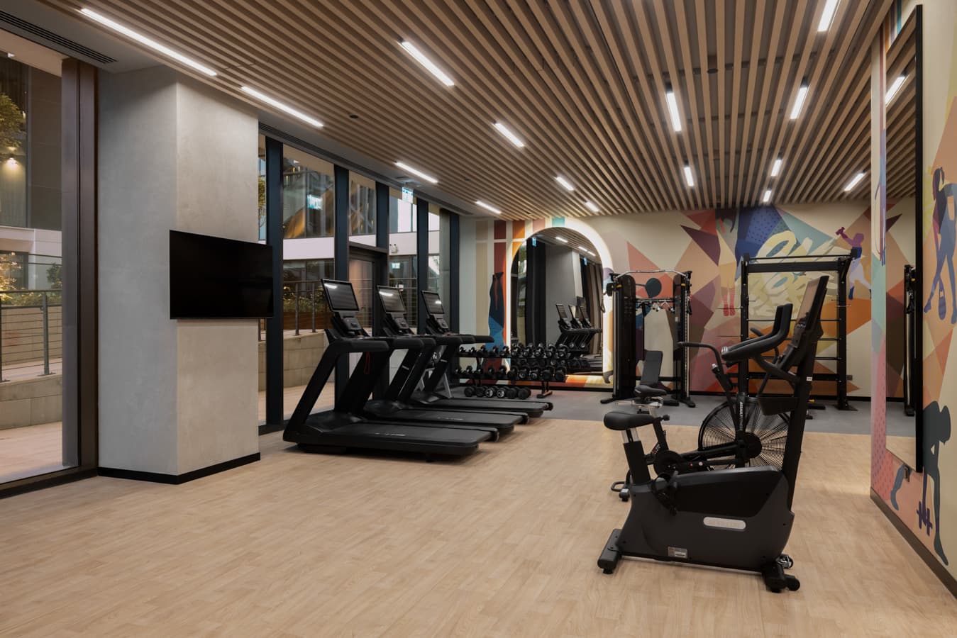 Cardio equipment lined up along the glass wall with daylight coming in