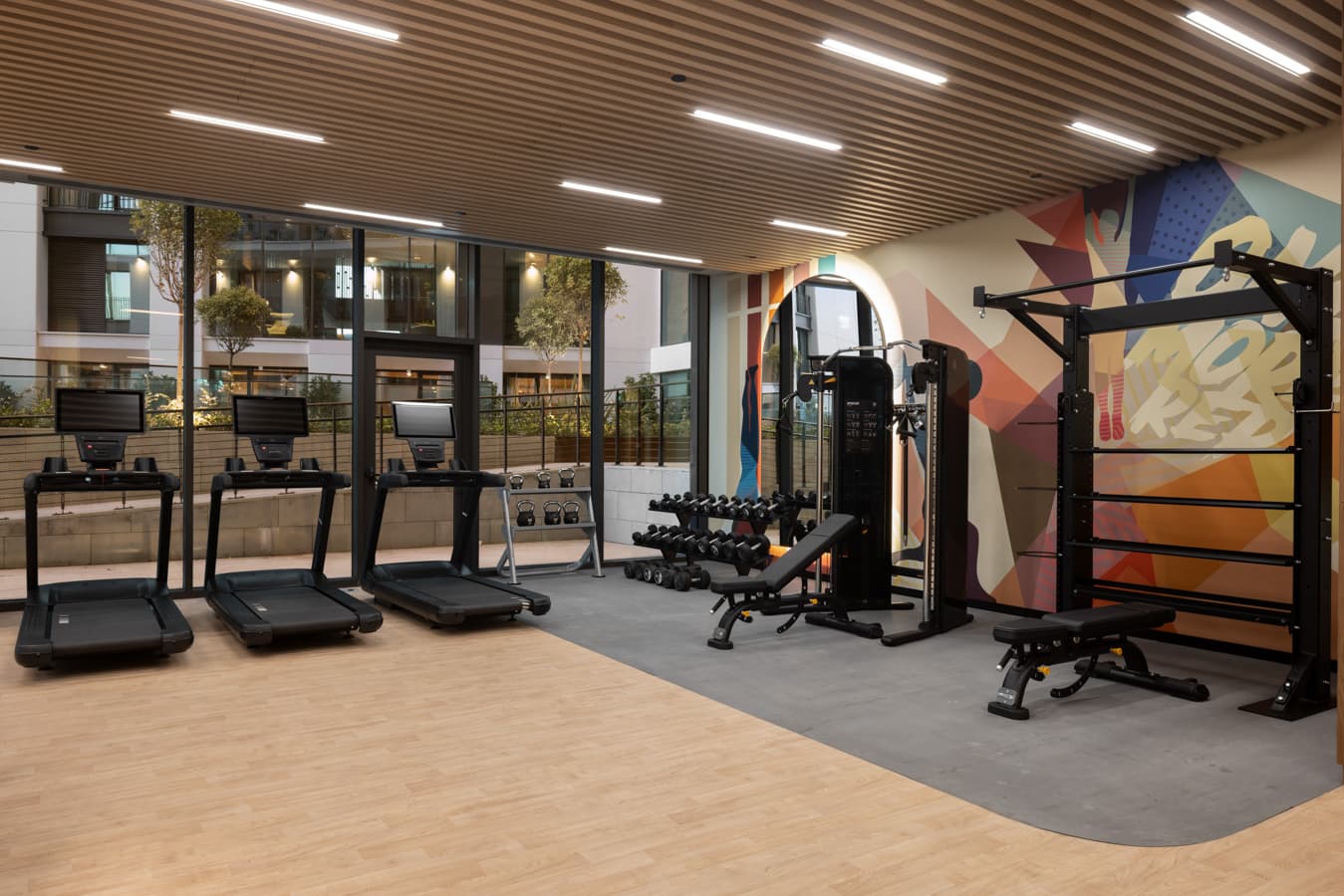 Functional training rig, dumbbells and treadmills with the airport-themed mural behind
